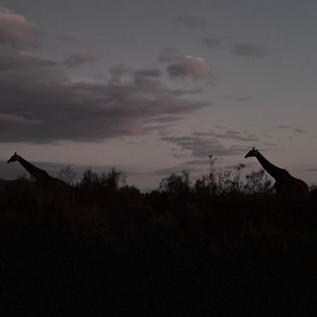 Wildehondekloof Game Lodge Matjiesrivier  Eksteriør bilde
