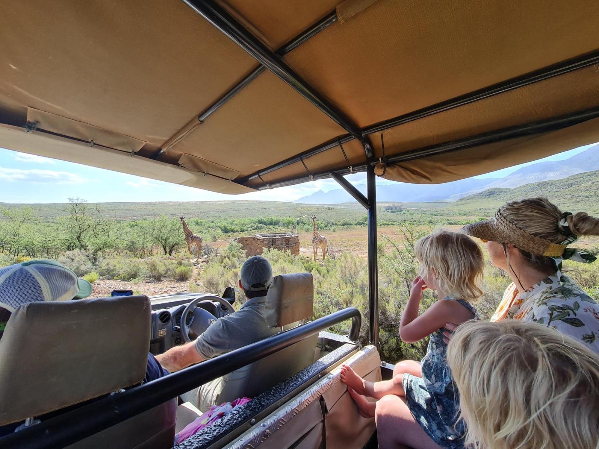Wildehondekloof Game Lodge Matjiesrivier  Eksteriør bilde
