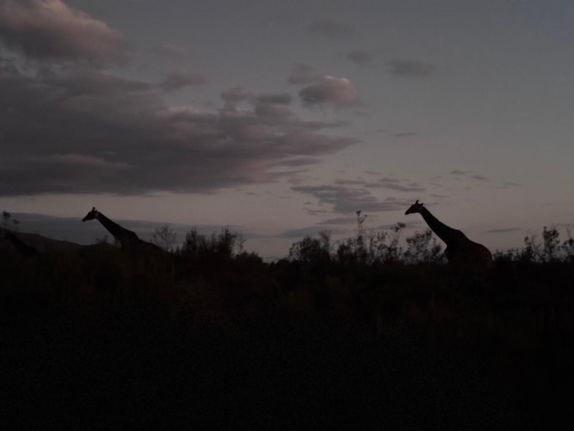 Wildehondekloof Game Lodge Matjiesrivier  Eksteriør bilde
